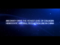 مقدمة عن شركة MICONVEY